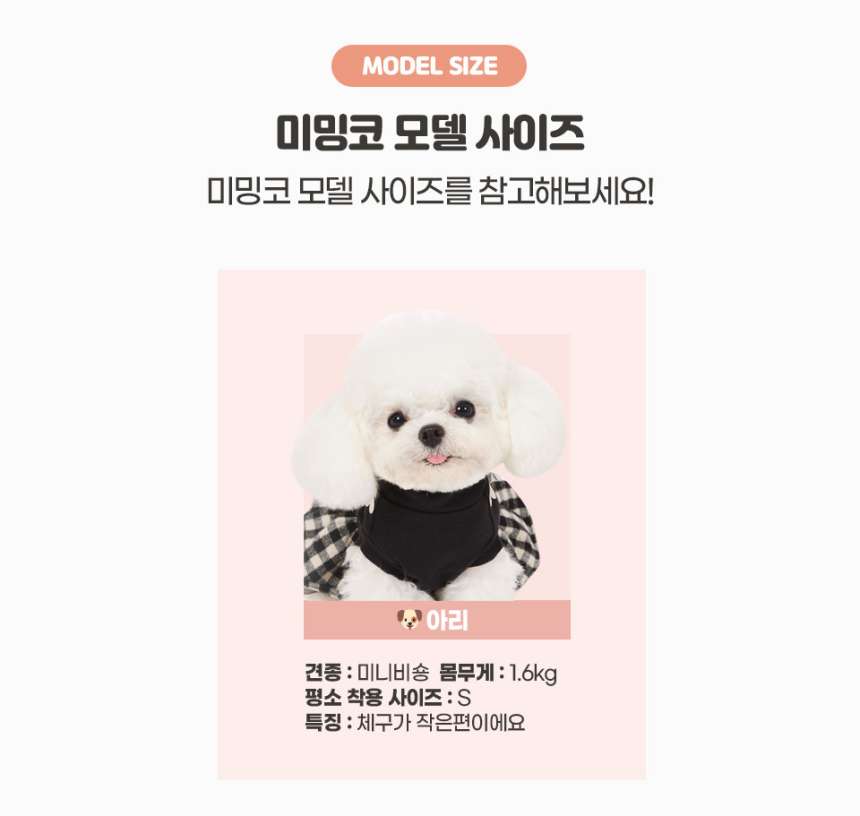 [무료배송] 미밍코 시원해 양 프릴 인견쿠션 5번째