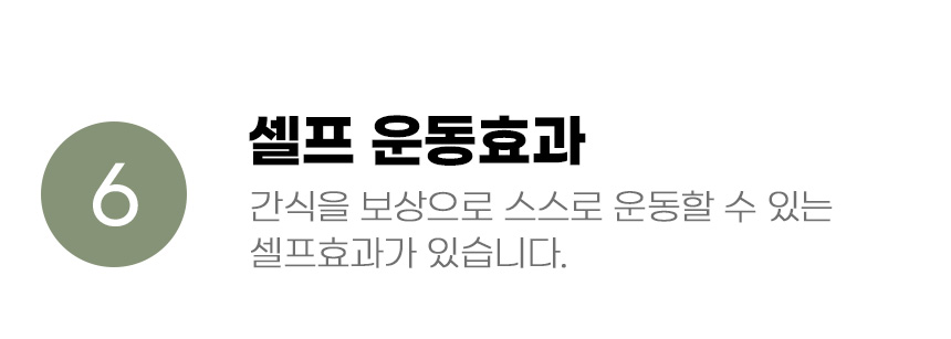 [무료배송] 아서아리 강아지 노즈워크 무전원 테니스 훈련 공 장난감 14번째