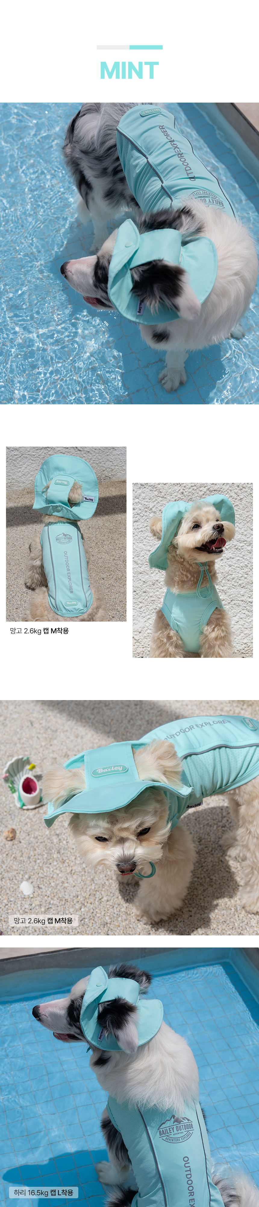 [NEW신상][무료배송] 베일리펫 강아지썬캡 애견모자 여름 자외선차단 UV쿨링캡 민트/라임/라벤더 S-2XL 4번째