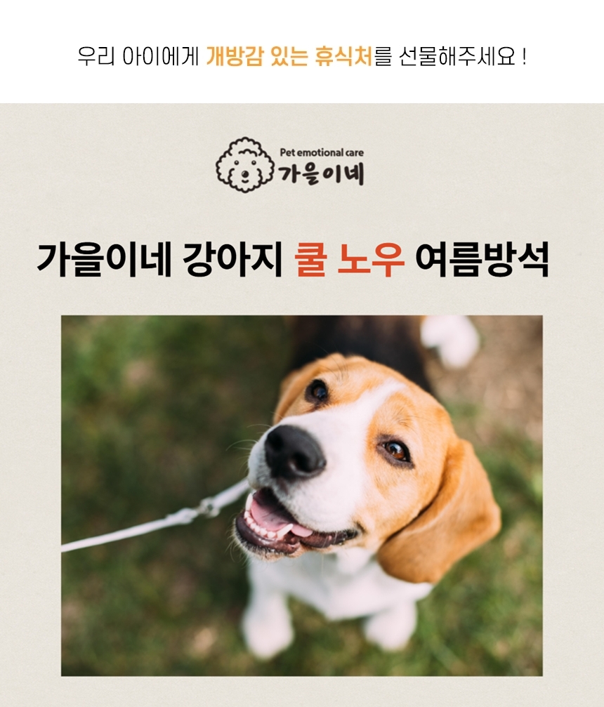 [NEW신상][무료배송] 가을이네 쿨노우 여름방석 아이스블루 1번째