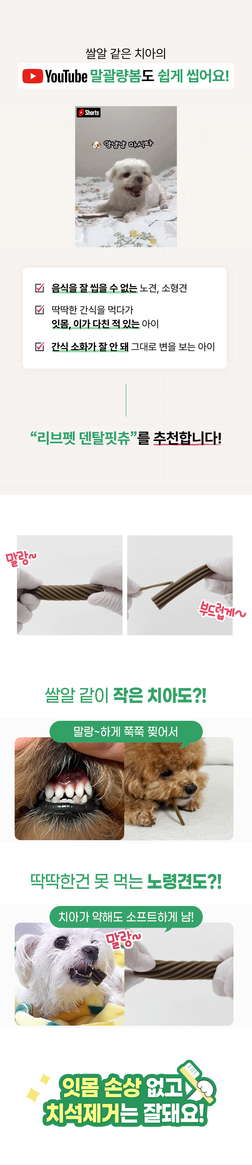 [창고대방출] [체험팩] 리브펫 덴탈핏츄 1p 1번째