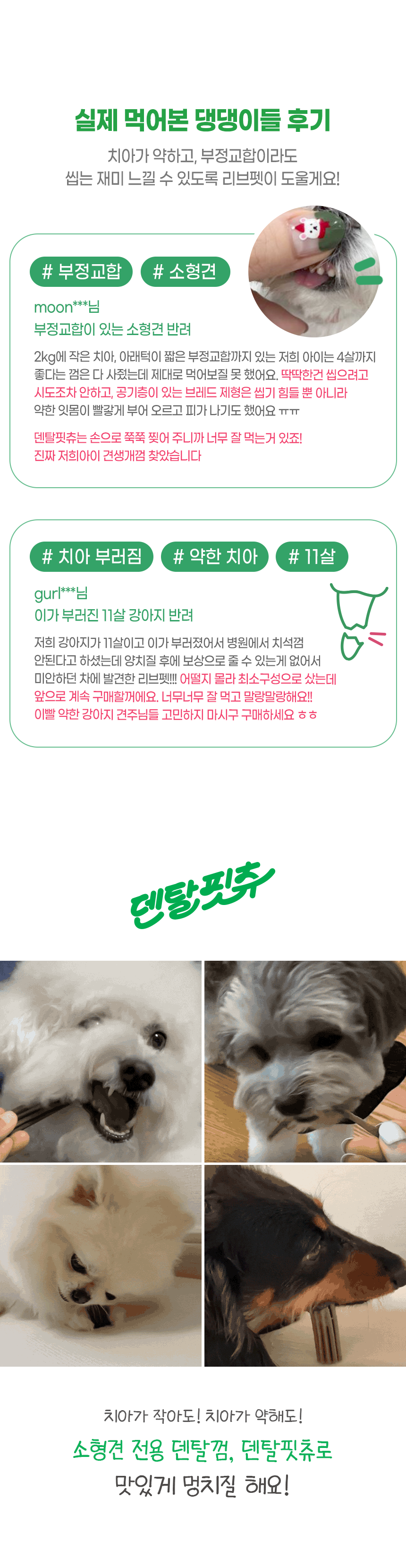 [창고대방출] [체험팩] 리브펫 덴탈핏츄 1p 3번째