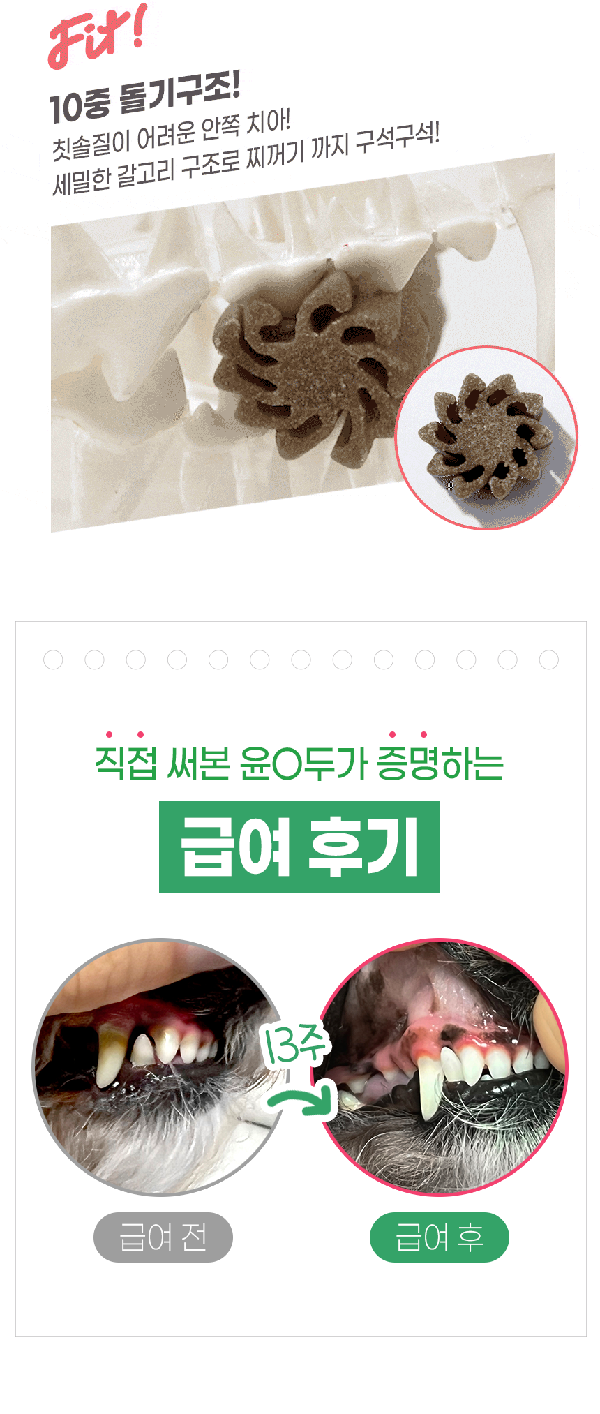 [창고대방출] [체험팩] 리브펫 덴탈핏츄 1p 2번째