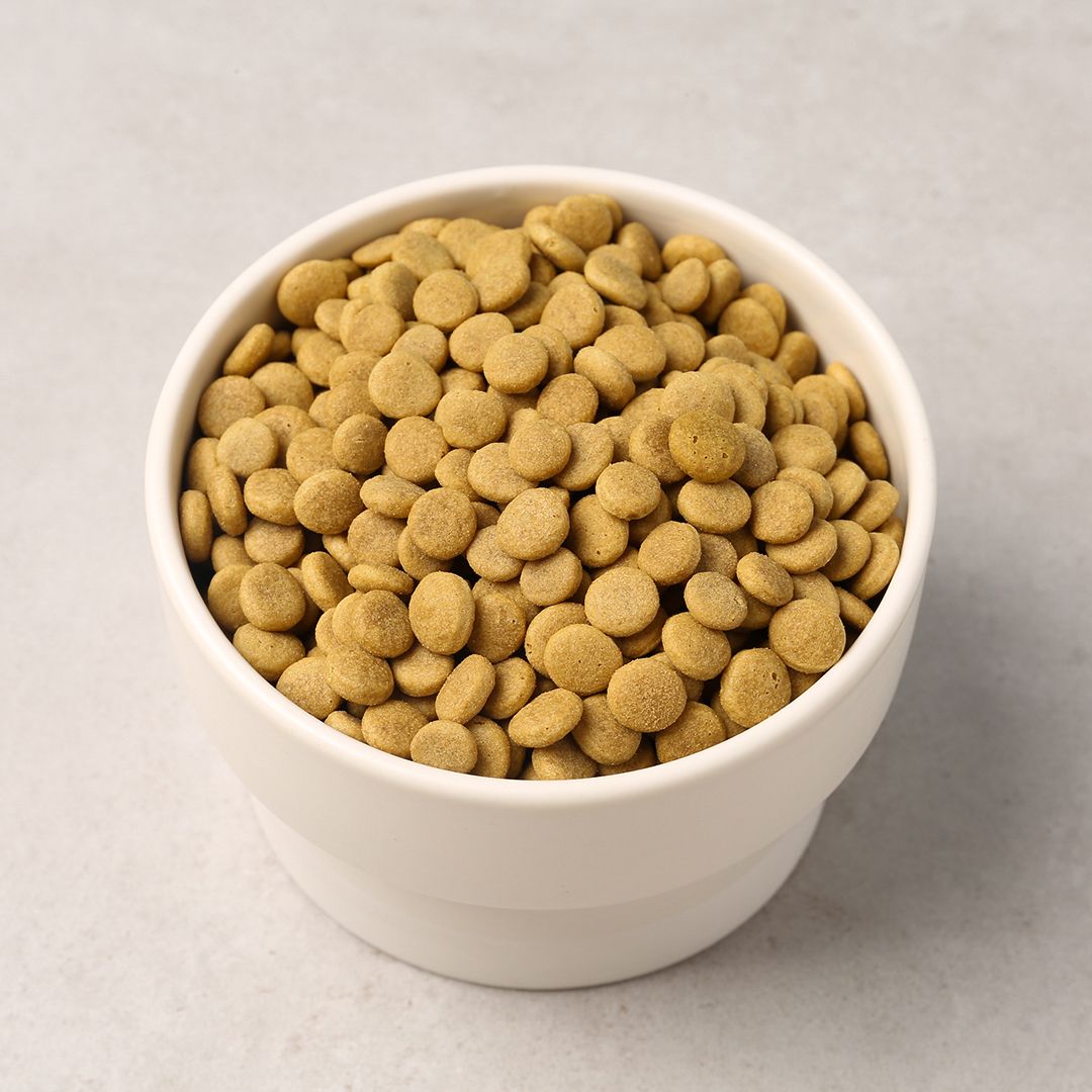 [사료샘플] 밥이보약 캣 활기찬 노후 50g 4번