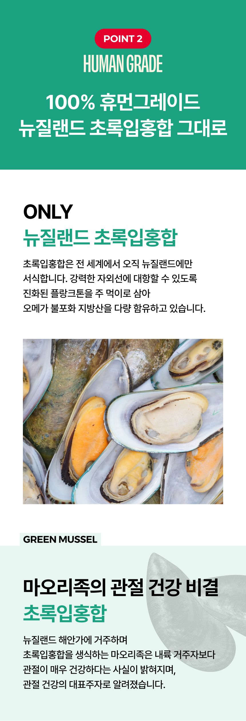 트러스티푸드 가니쉬 동결건조 초록입홍합 50g 5번째