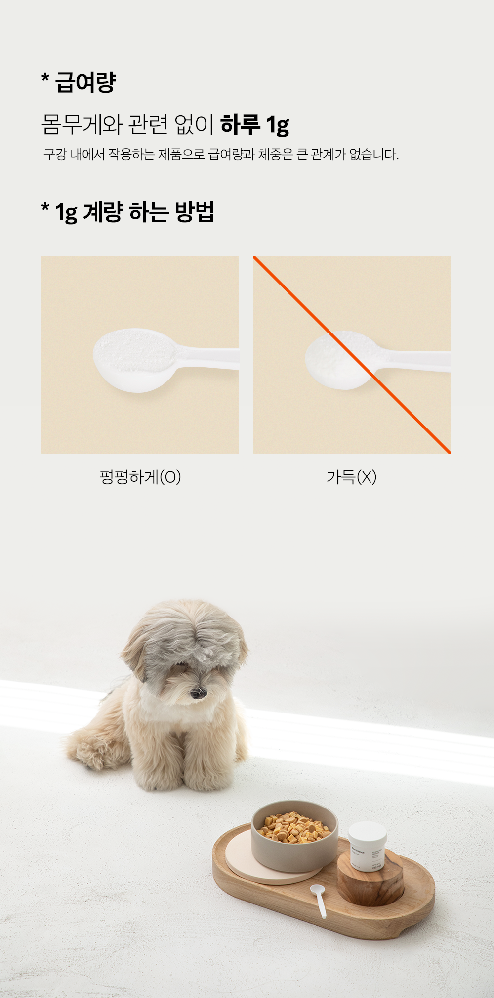 조공 이지 케어 데일리 프레쉬 30g 38번째