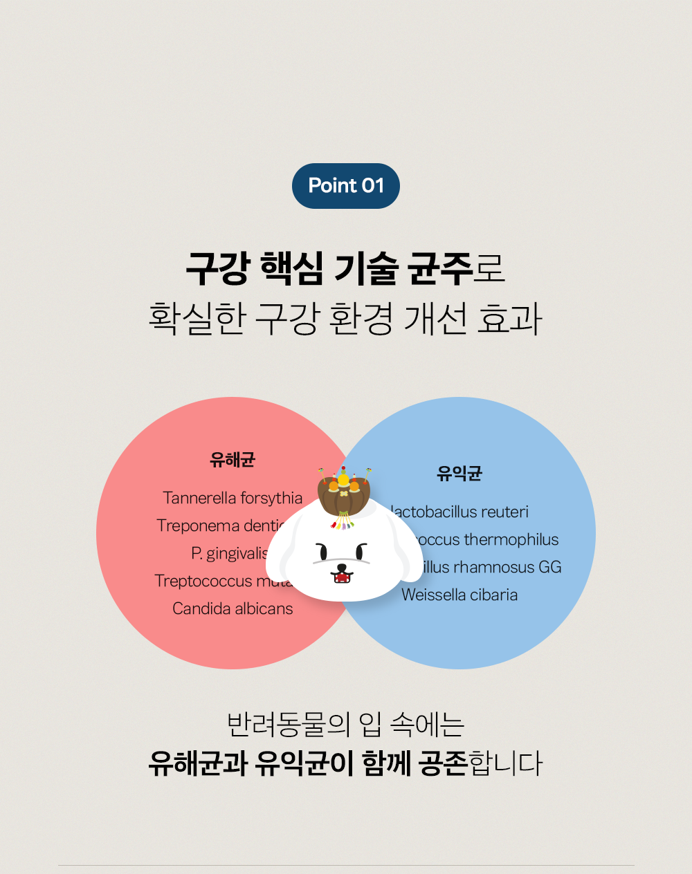 조공 이지 케어 데일리 프레쉬 30g 17번째
