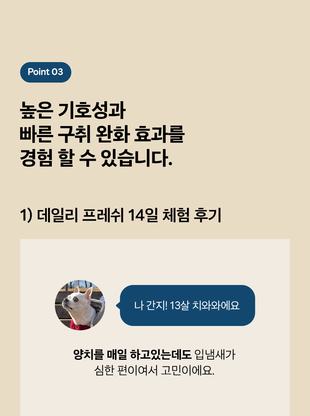 조공 이지 케어 데일리 프레쉬 30g 31번째
