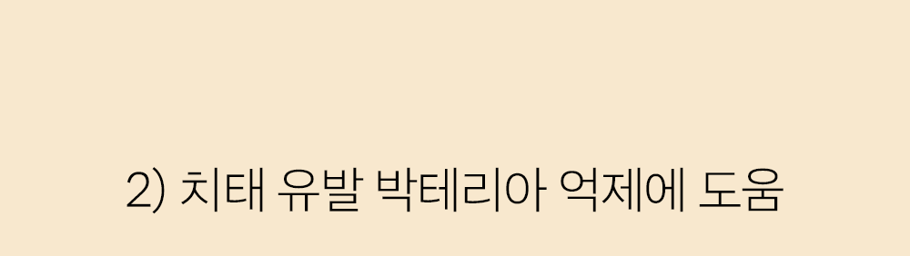 조공 이지 케어 데일리 프레쉬 30g 23번째