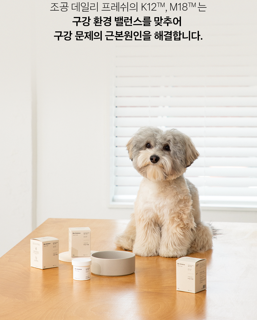조공 이지 케어 데일리 프레쉬 30g 21번째