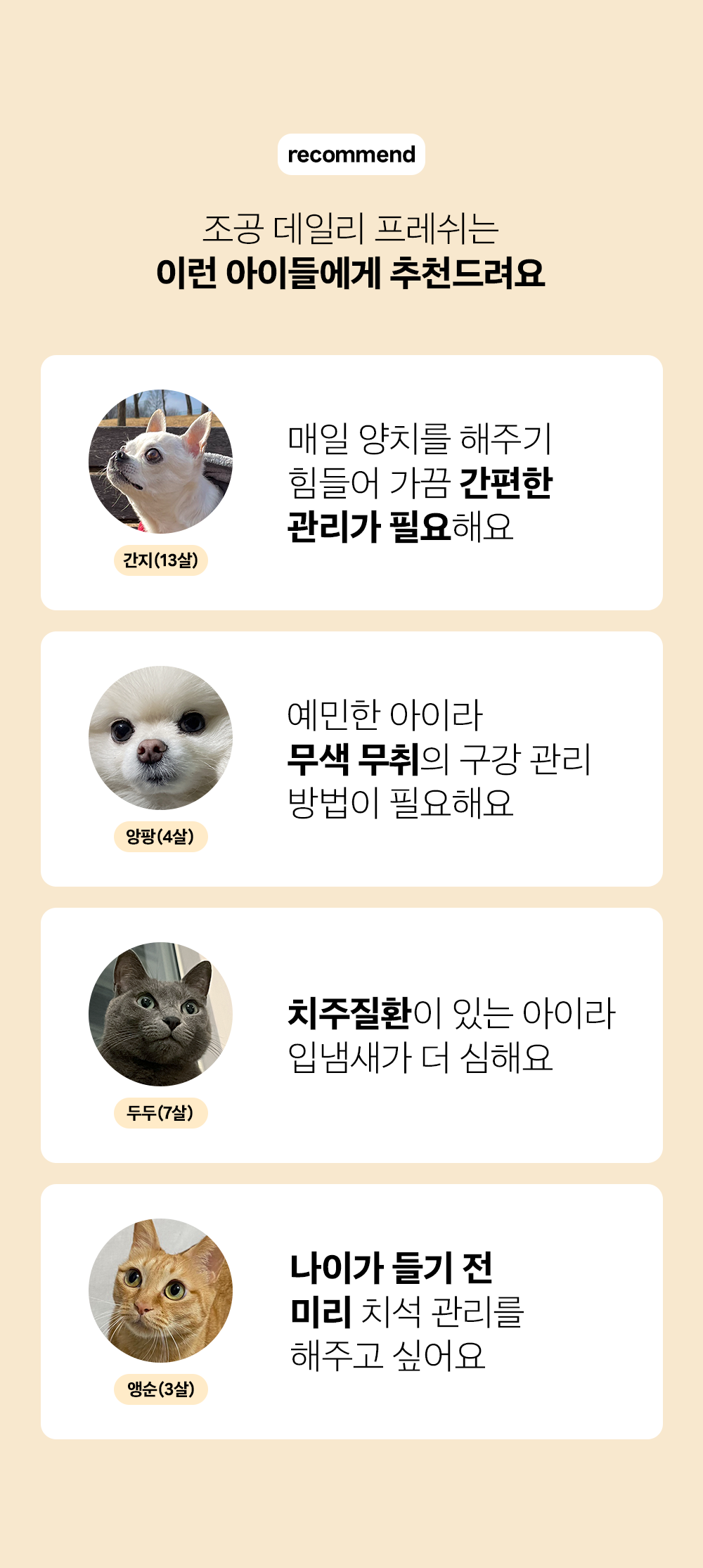 조공 이지 케어 데일리 프레쉬 30g 15번째