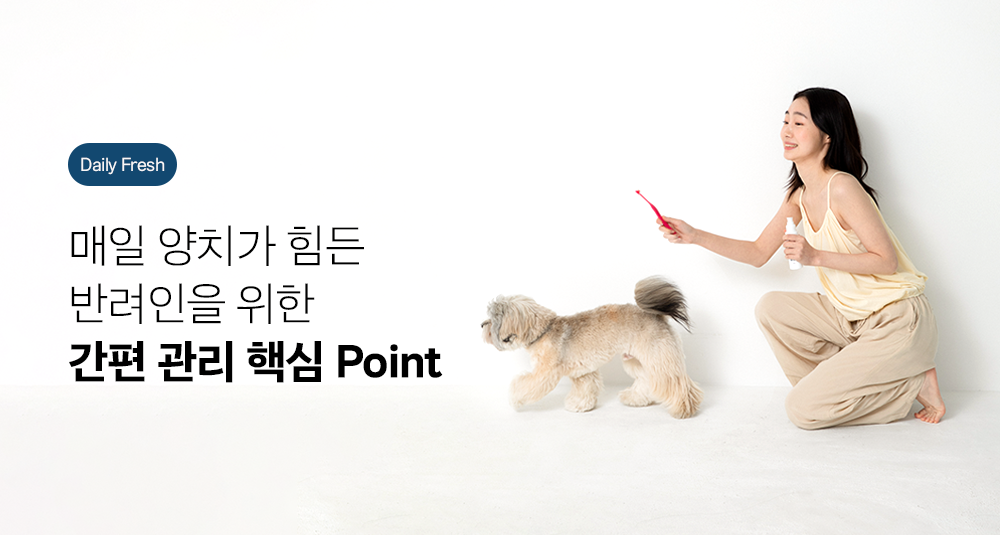 조공 이지 케어 데일리 프레쉬 30g 16번째