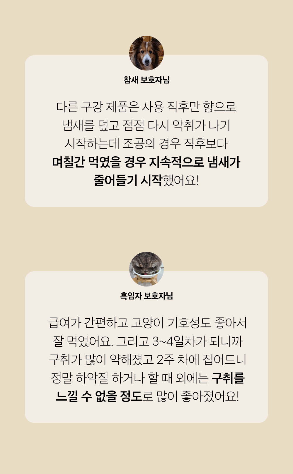 조공 이지 케어 데일리 프레쉬 30g 35번째