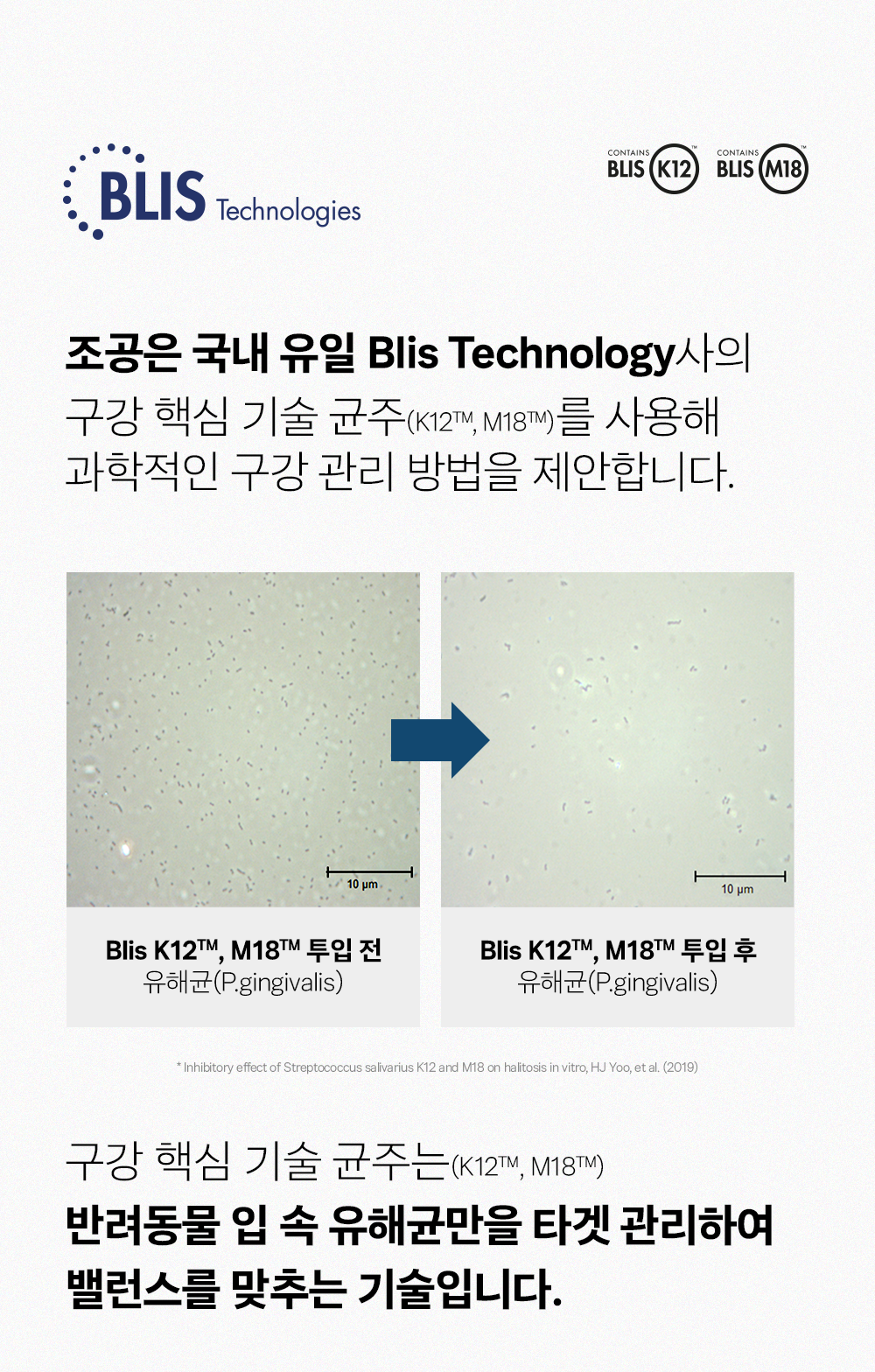 조공 이지 케어 데일리 프레쉬 30g 4번째