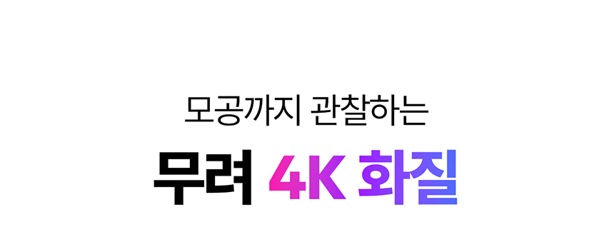 [무료배송] 아이오트 스마트 홈카메라 4K Pro 펫캠 가정용 800만화소 4번째