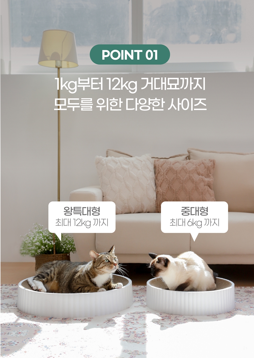 [무료배송] 키트니 화이트 클래식 스크래쳐 중대형 4번째