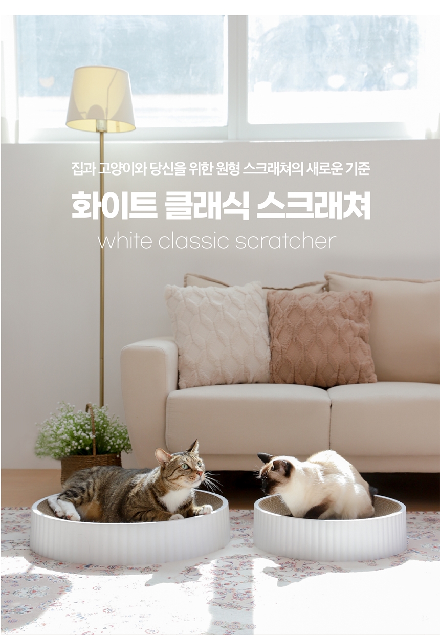 [무료배송] 키트니 화이트 클래식 스크래쳐 중대형 2번째