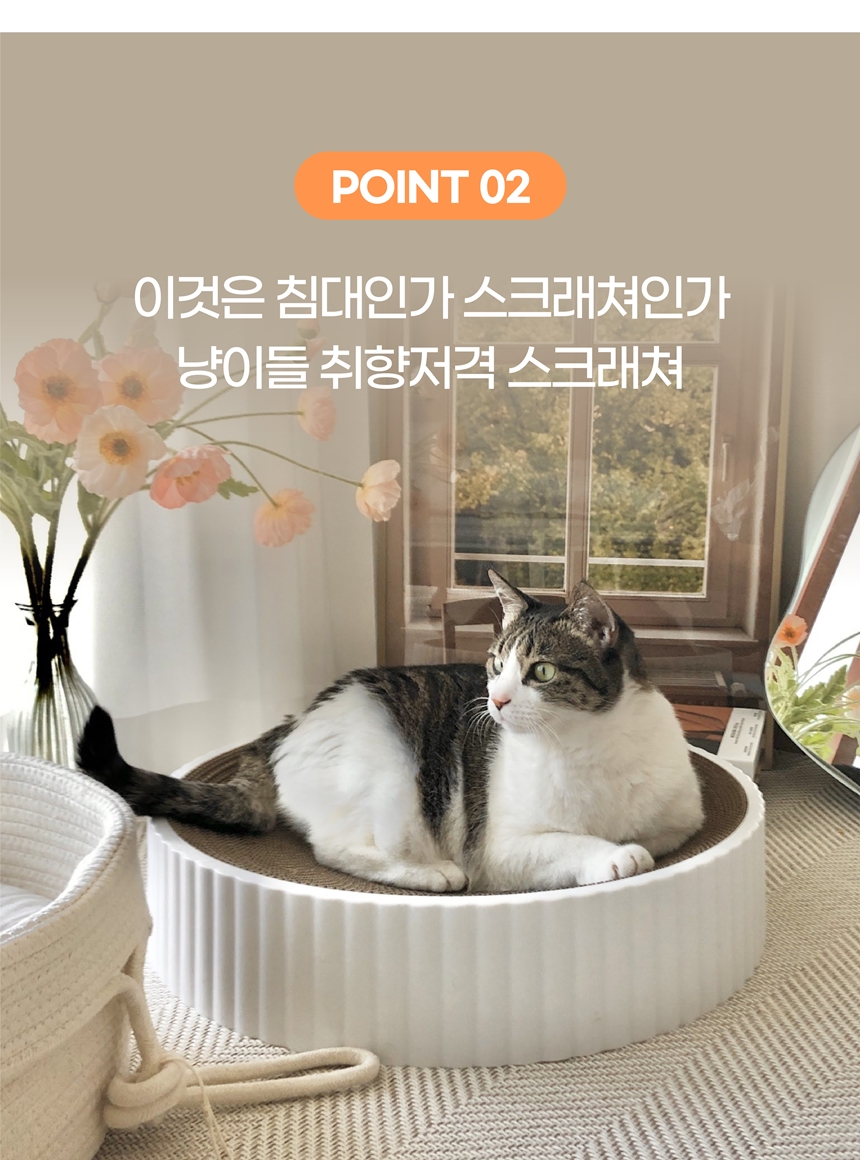 [무료배송] 키트니 화이트 클래식 스크래쳐 중대형 7번째