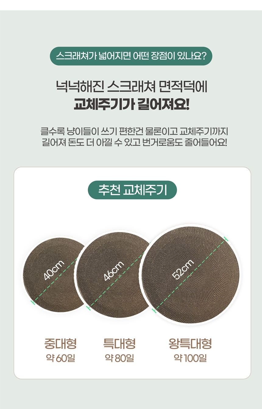 [무료배송] 키트니 화이트 클래식 스크래쳐 중대형 6번째