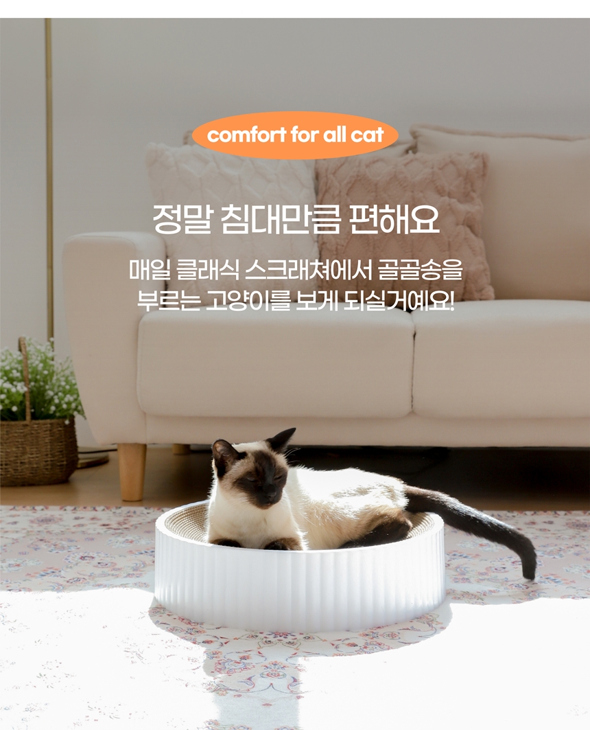 [무료배송] 키트니 화이트 클래식 스크래쳐 중대형 8번째