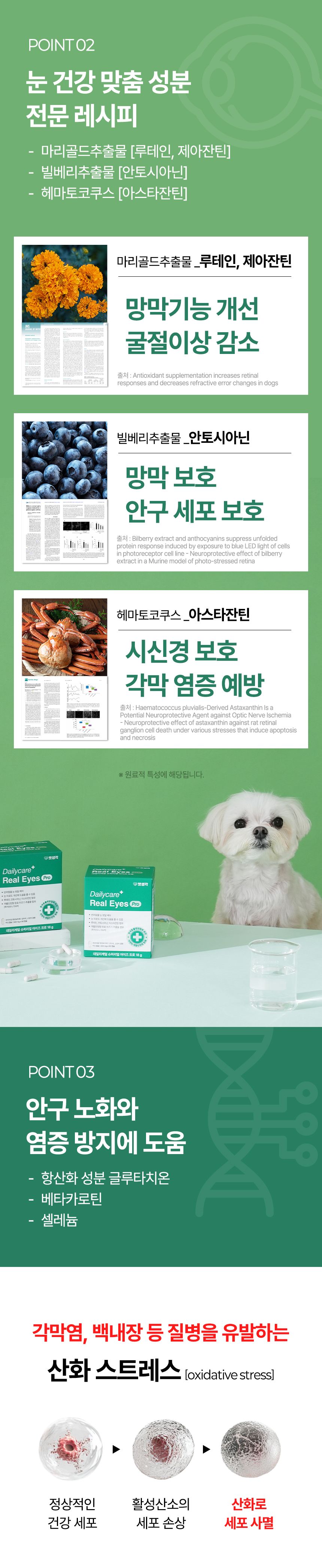 펫생각 임상완료 아이즈 프로 눈 눈물자국 백내장 염증 루테인 영양제 60정 31번째