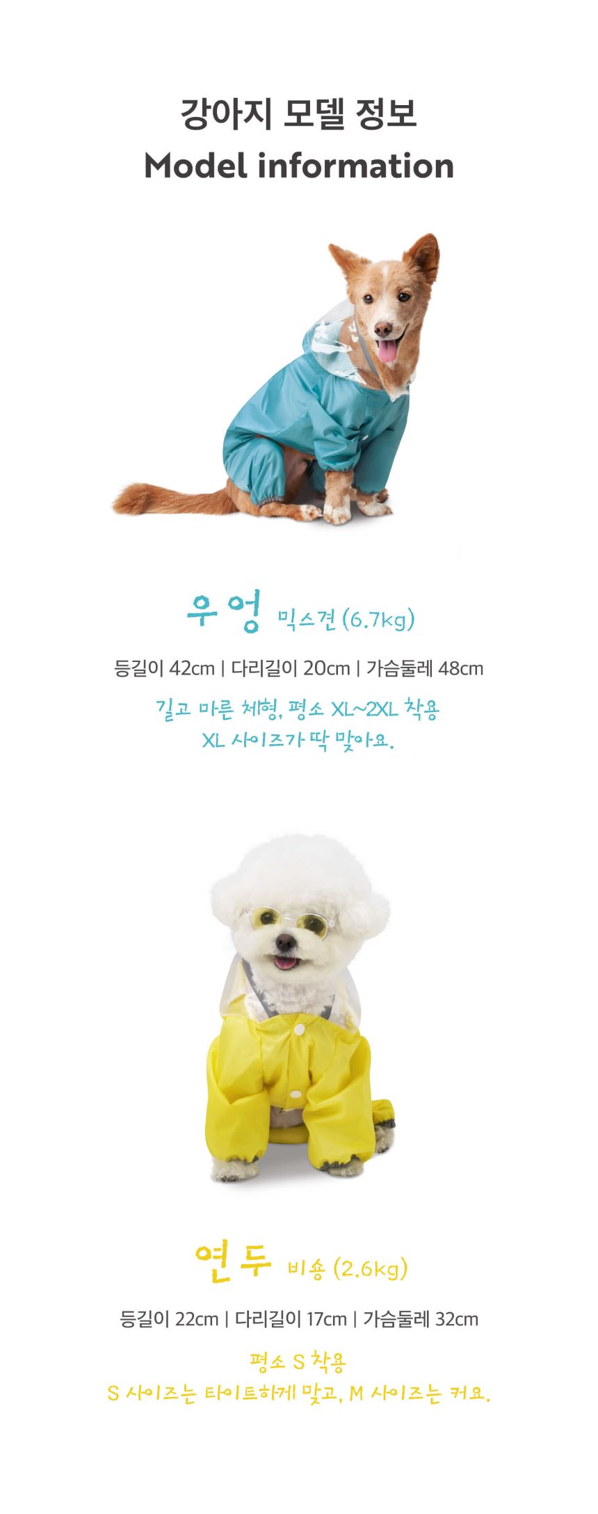 [무료배송] 멍뭉스  라이트 올인원 우비 레인코트 틸블루/스카이블루/옐로우 S-XL 10번째