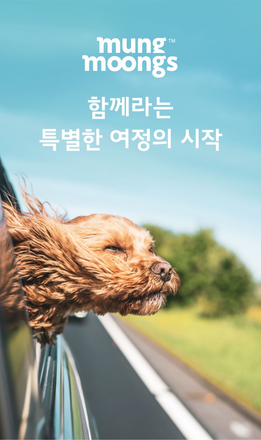 [무료배송] 멍뭉스  라이트 올인원 우비 레인코트 틸블루/스카이블루/옐로우 S-XL 1번째