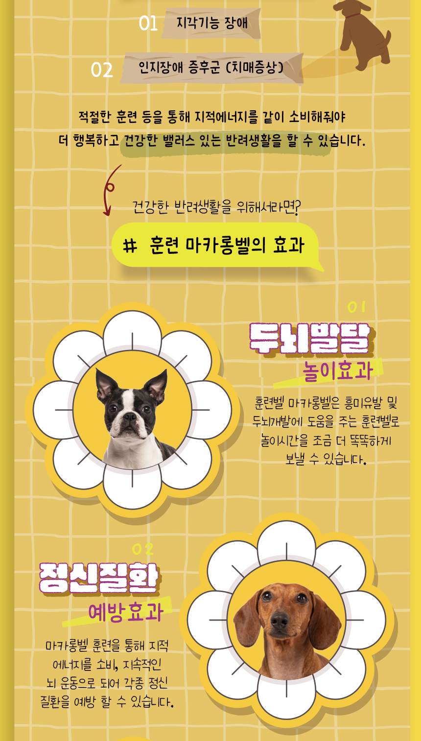 [무료배송] 애구애구 말하는 녹음 마카롱벨 8번째