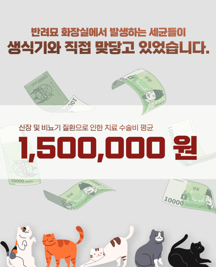 [무료배송] 제주탐라니 프리미엄 제주 화산송이 벤토나이트 오름모래 6kg 1번째