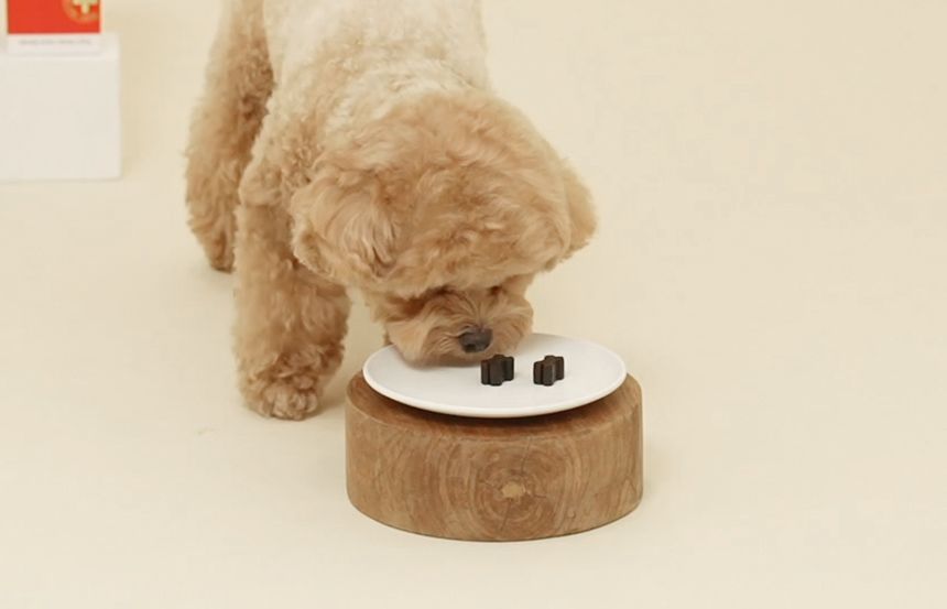 [유통기한임박, 26년6월11일] 펫생각 독 관절 슬개골 관절염 칼슘 영양제 66g 9번째