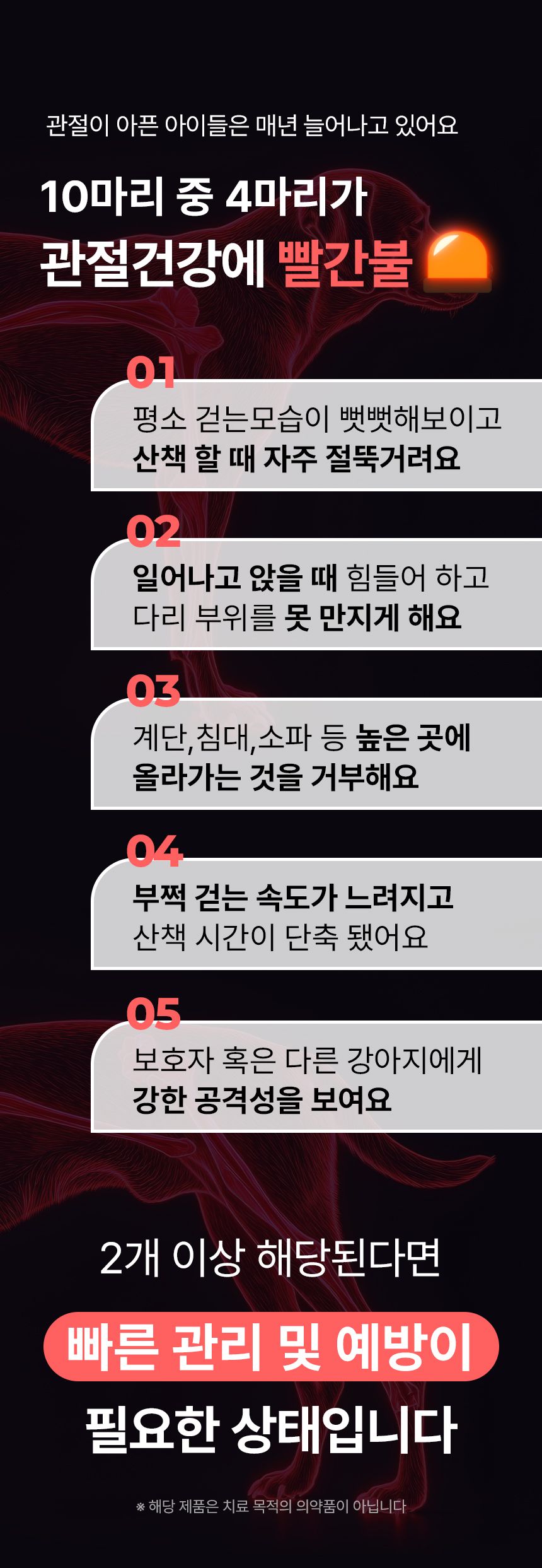 [유통기한임박, 26년6월11일] 펫생각 독 관절 슬개골 관절염 칼슘 영양제 66g 6번째