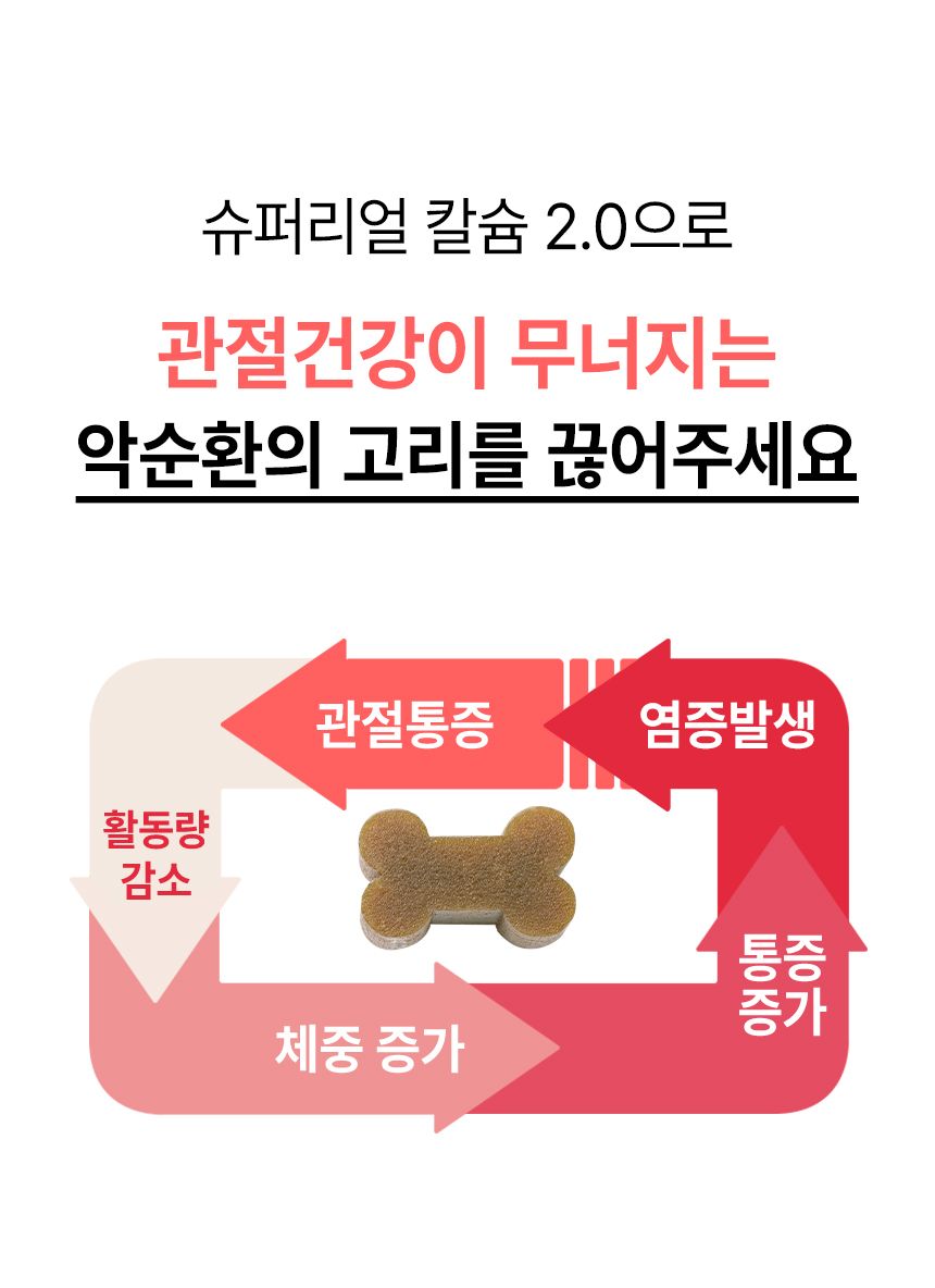 [유통기한임박, 26년6월11일] 펫생각 독 관절 슬개골 관절염 칼슘 영양제 66g 8번째