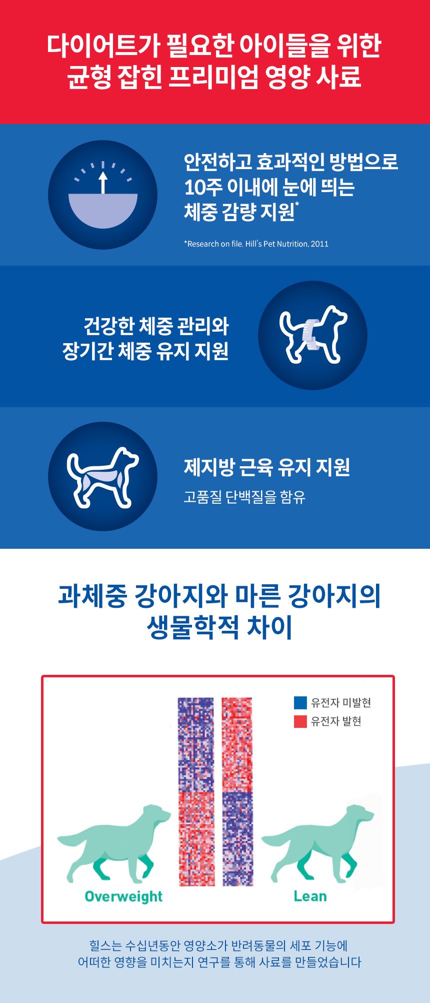 힐스 독 어덜트 퍼펙트 웨이트 야채&치킨 스튜 354g 2번째
