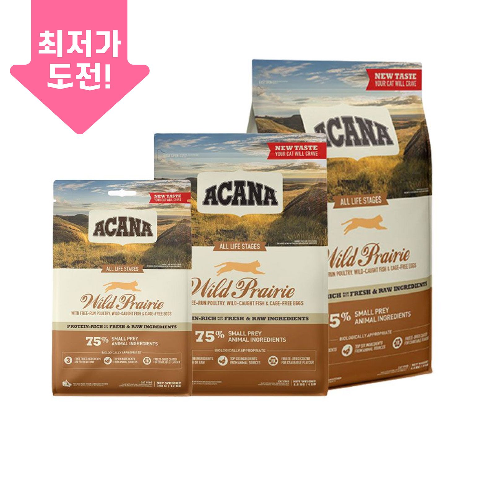 아카나 캣 와일드 프레이리 모음 0번