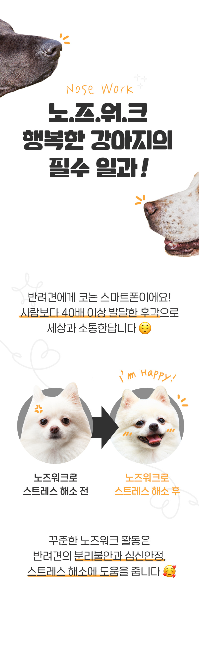 [NEW신상][무료배송] 뉴알엑스 노즈워크 사각 킁킁볼 16번째