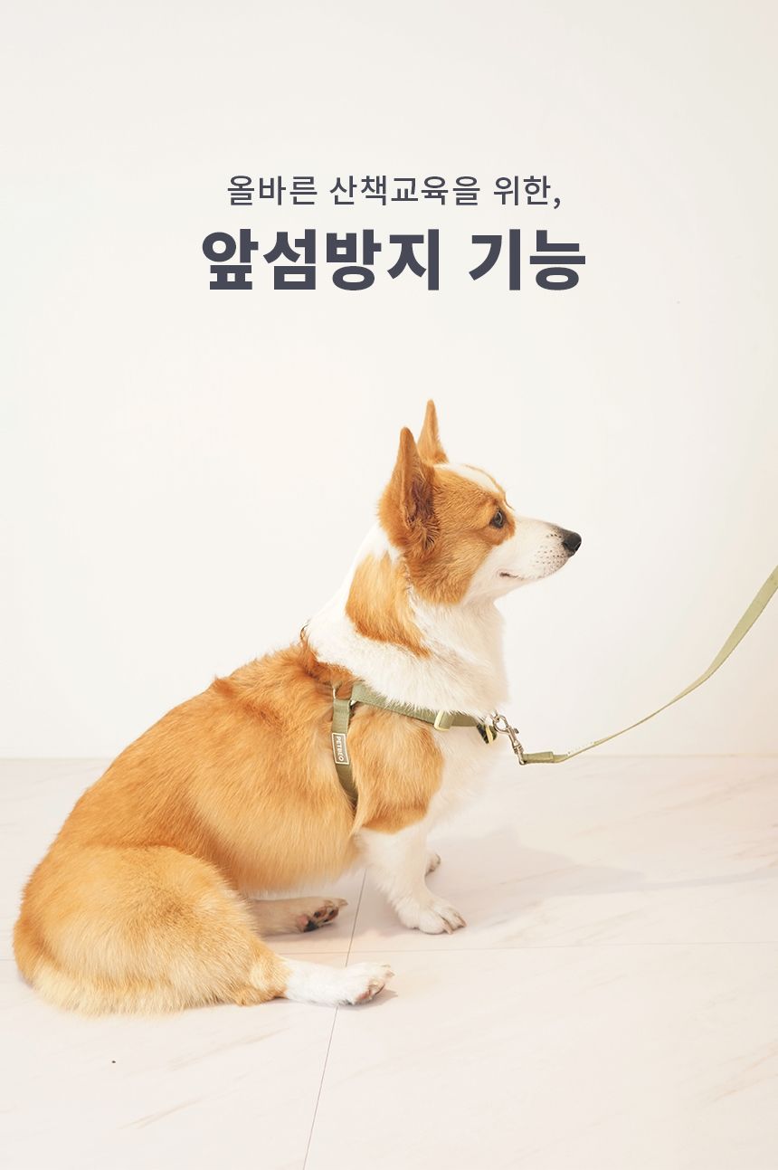[무료배송] 펫베오 올밴드 Y형 하네스 가슴줄 핑크/카키/차콜 S-L 16번째