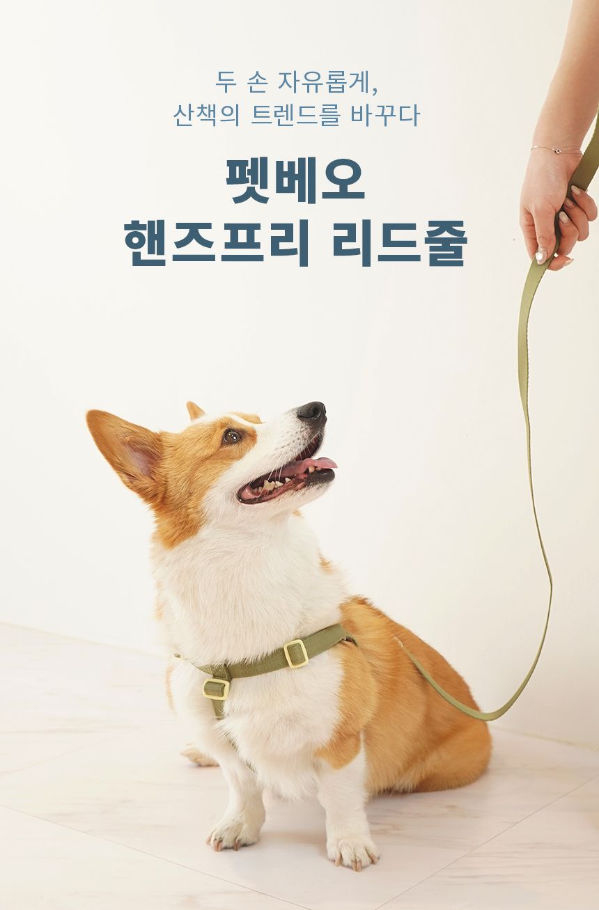 [무료배송] 펫베오 올밴드 Y형 하네스 가슴줄 핑크/카키/차콜 S-L 22번째
