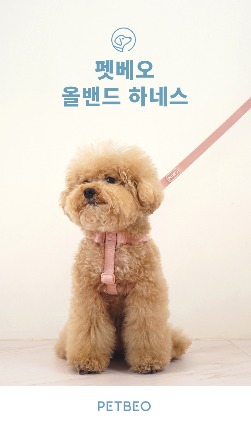 [무료배송] 펫베오 올밴드 Y형 하네스 가슴줄 핑크/카키/차콜 S-L 3번째