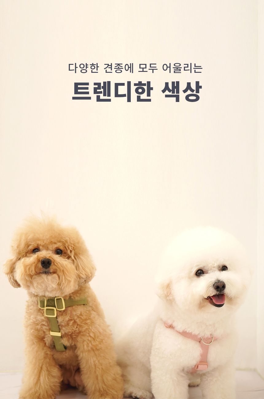 [무료배송] 펫베오 올밴드 Y형 하네스 가슴줄 핑크/카키/차콜 S-L 19번째