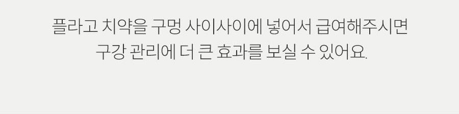 플라고 독 벌집 덴탈껌 힙&조인트 150g 11번째
