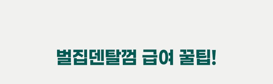 플라고 독 벌집 덴탈껌 힙&조인트 150g 9번째