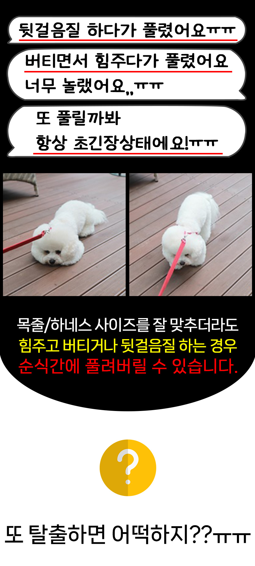 [무료배송] 멍템 탈출방지 안전줄 베이지/레드/블랙 S/L 5번째