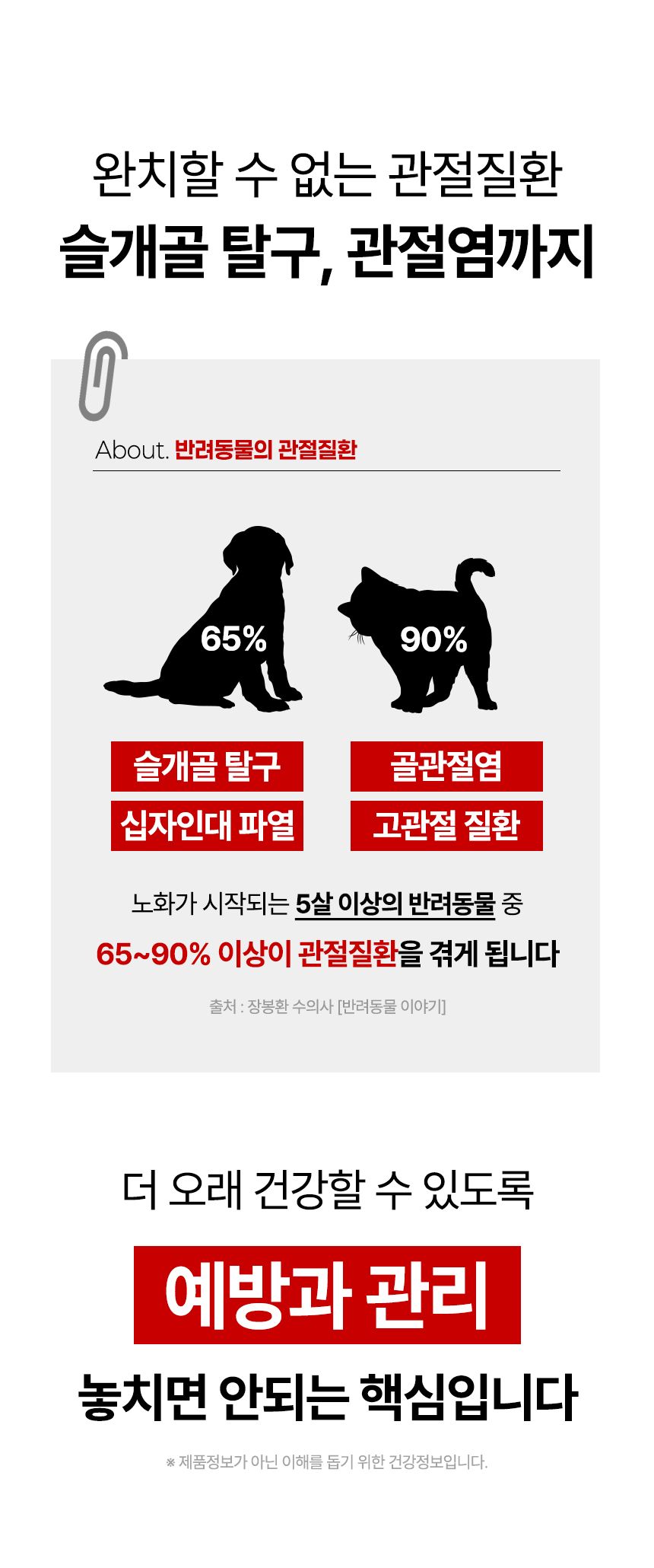 [신상할인전]펫생각 데일리케얼 조인트 PRO 관절 영양제 60캡슐 7번째