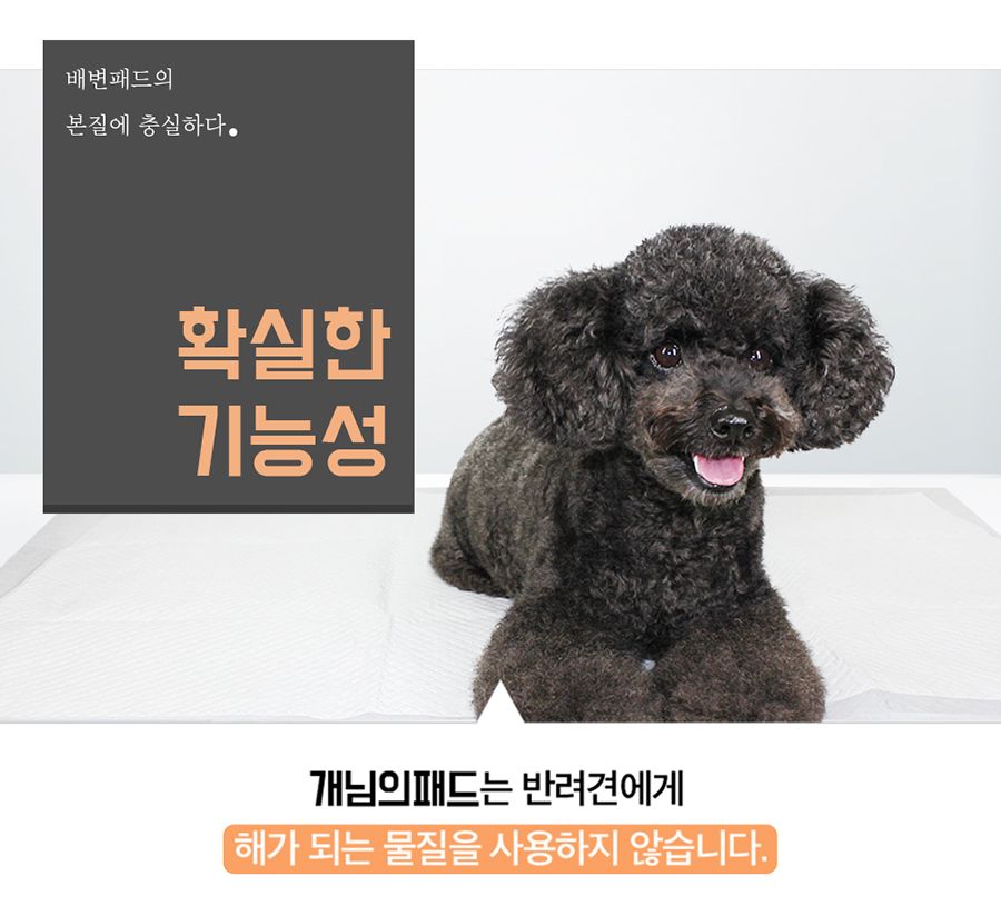 [2개] 개님의 상점 가성비 끝판왕 개님의패드 XL 50매 (60x75cm) 11번째