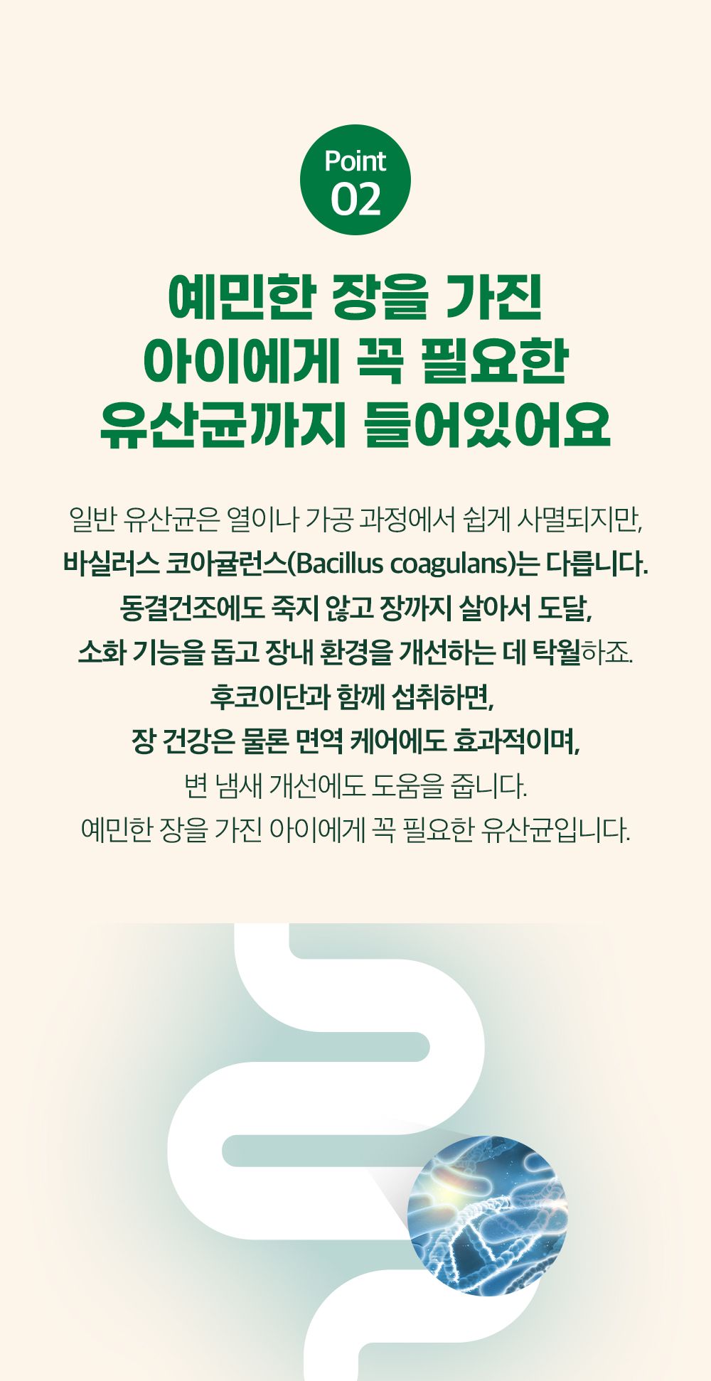 [NEW신상]후코잇 독 기능성 동결건조간식 연어 60g 13번째