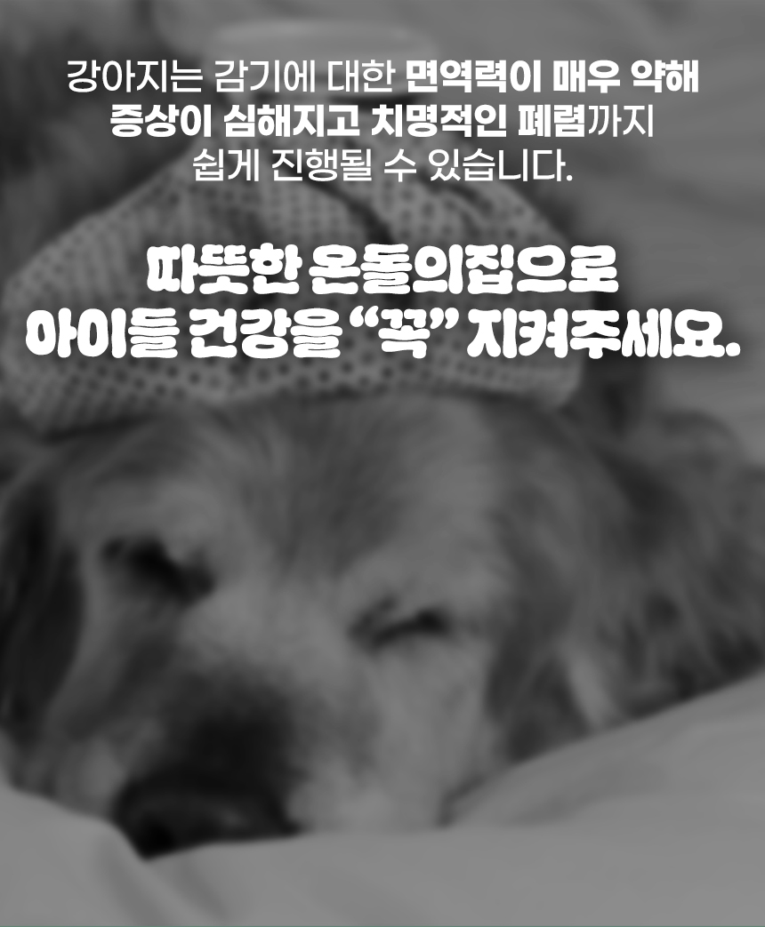[무료배송] 초코펫하우스 겨울 보온 따뜻한 온돌의집 5번째