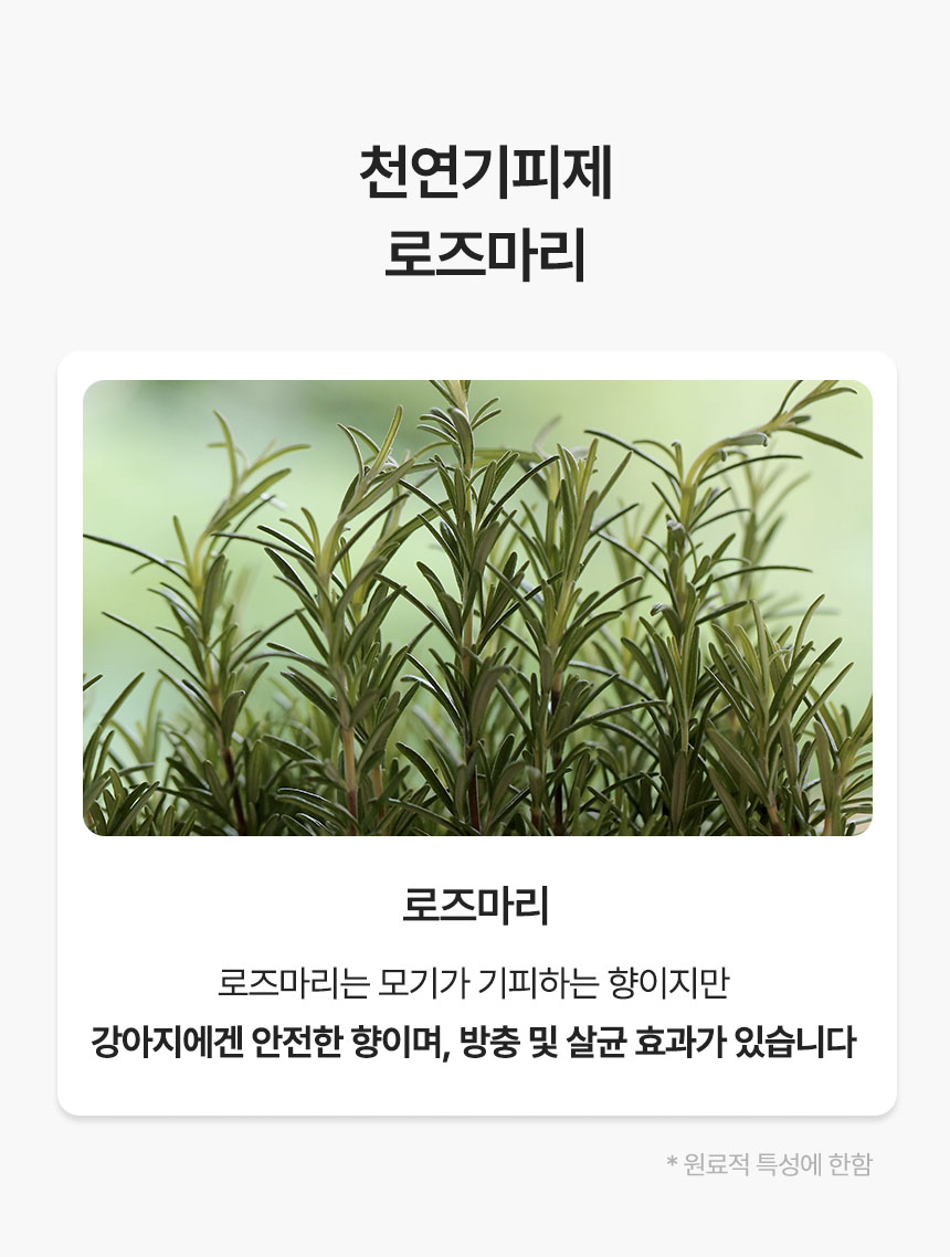 [무료배송] 리스펫 해충방지 산책스프레이 200ml 13번째