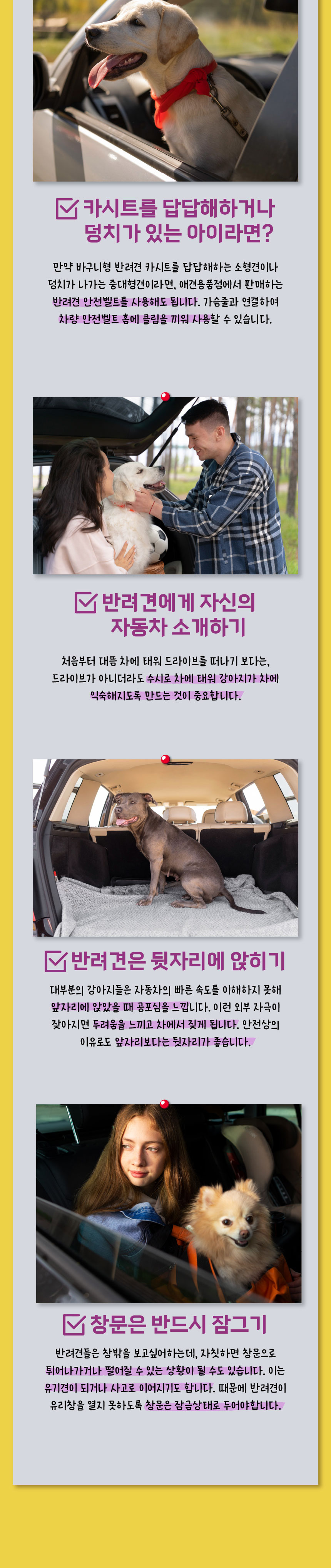 [무료배송] 애구애구 강아지 모자 바이크 헬멧 4번째