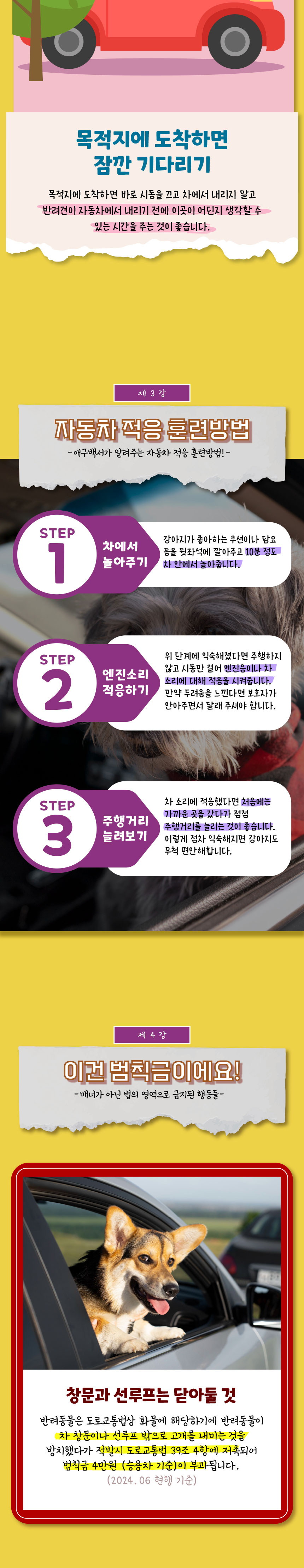 [무료배송] 애구애구 강아지 모자 바이크 헬멧 6번째