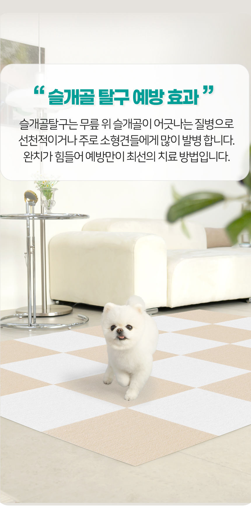 [무료배송] 레토 강아지 퍼즐 매트 30x30cm 10장 세트 베이지/아이보리/라이트그레이 5번째